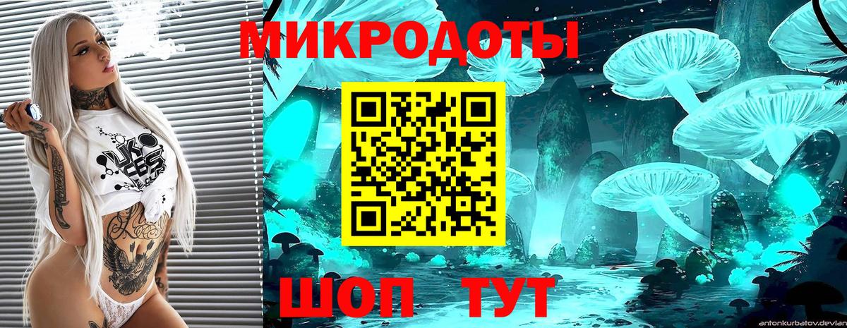 Псилоцибиновые грибы прущие грибы  Вход с VPN  Галлюциногенные грибы ЛСД  Подольск 
