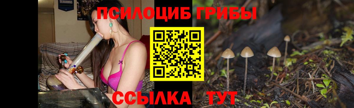 Галлюциногенные грибы прущие грибы Подольск